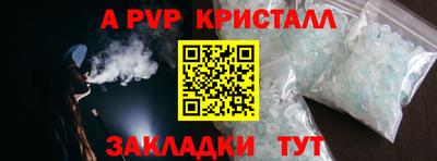 стаф Тара
