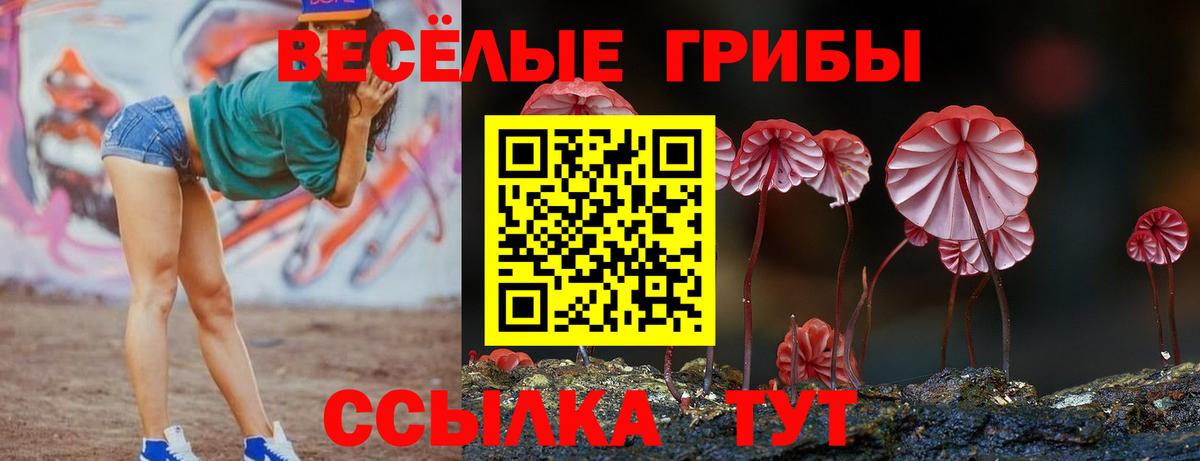 Галлюциногенные грибы MAGIC MUSHROOMS  Вход с VPN  Орск 
